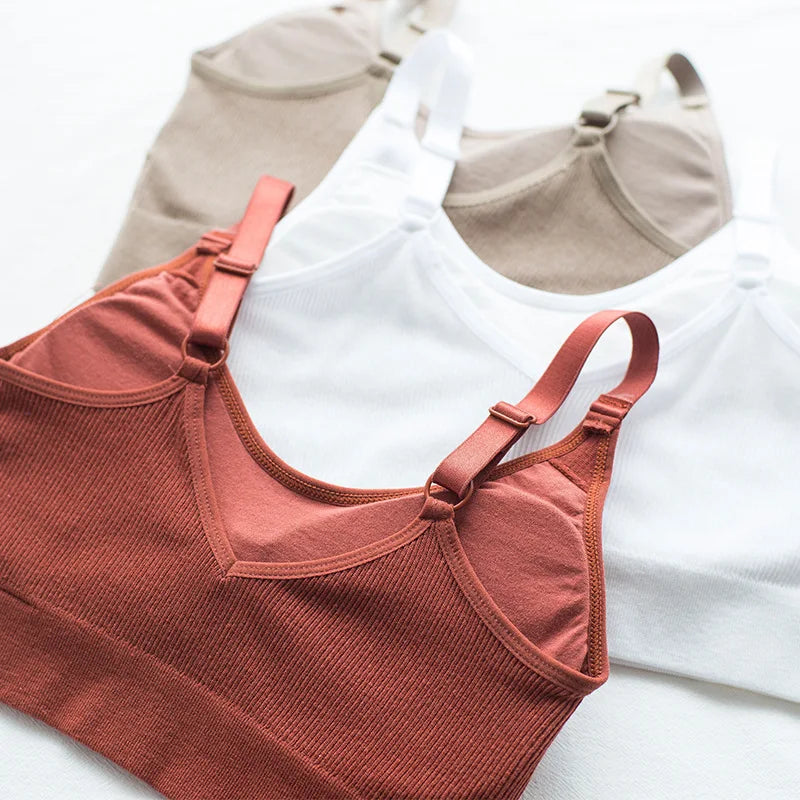 Seamless Ribbed Tube Top Bra